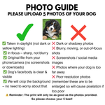 Load image into Gallery viewer, Instructional graphic for uploading dog photos with guidelines on quality and clarity.