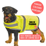 Load image into Gallery viewer, Dog In Training Hi Vis Dog Vest – yellow vest worn by a dog