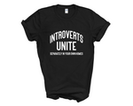 Load image into Gallery viewer, Introverts Unite Adult Unisex T-Shirt