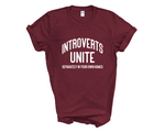 Load image into Gallery viewer, Introverts Unite Adult Unisex T-Shirt