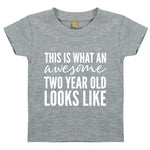 Load image into Gallery viewer, This Is What An Awesome Two Year Old Looks Like Unisex Kids Birthday T-shirt