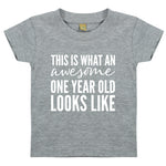 Load image into Gallery viewer, This Is What An Awesome One Year Old Looks Like Kids T-shirt