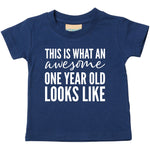 Load image into Gallery viewer, This Is What An Awesome One Year Old Looks Like Kids T-shirt