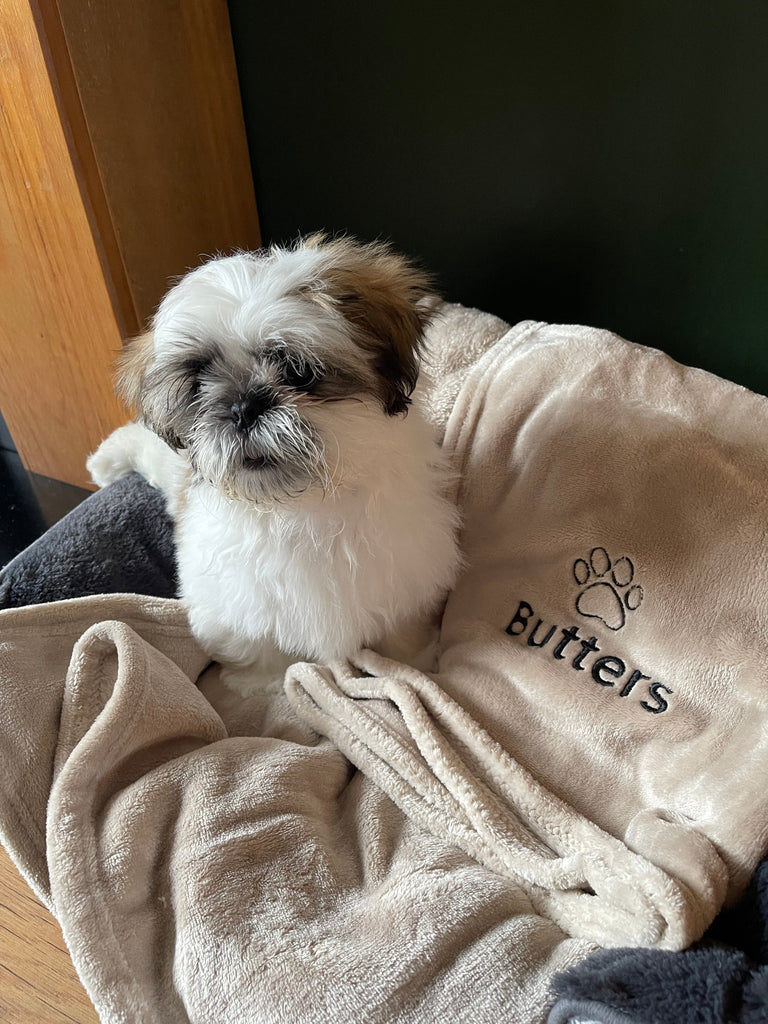 How to Choose the Perfect Personalised Pet Blanket