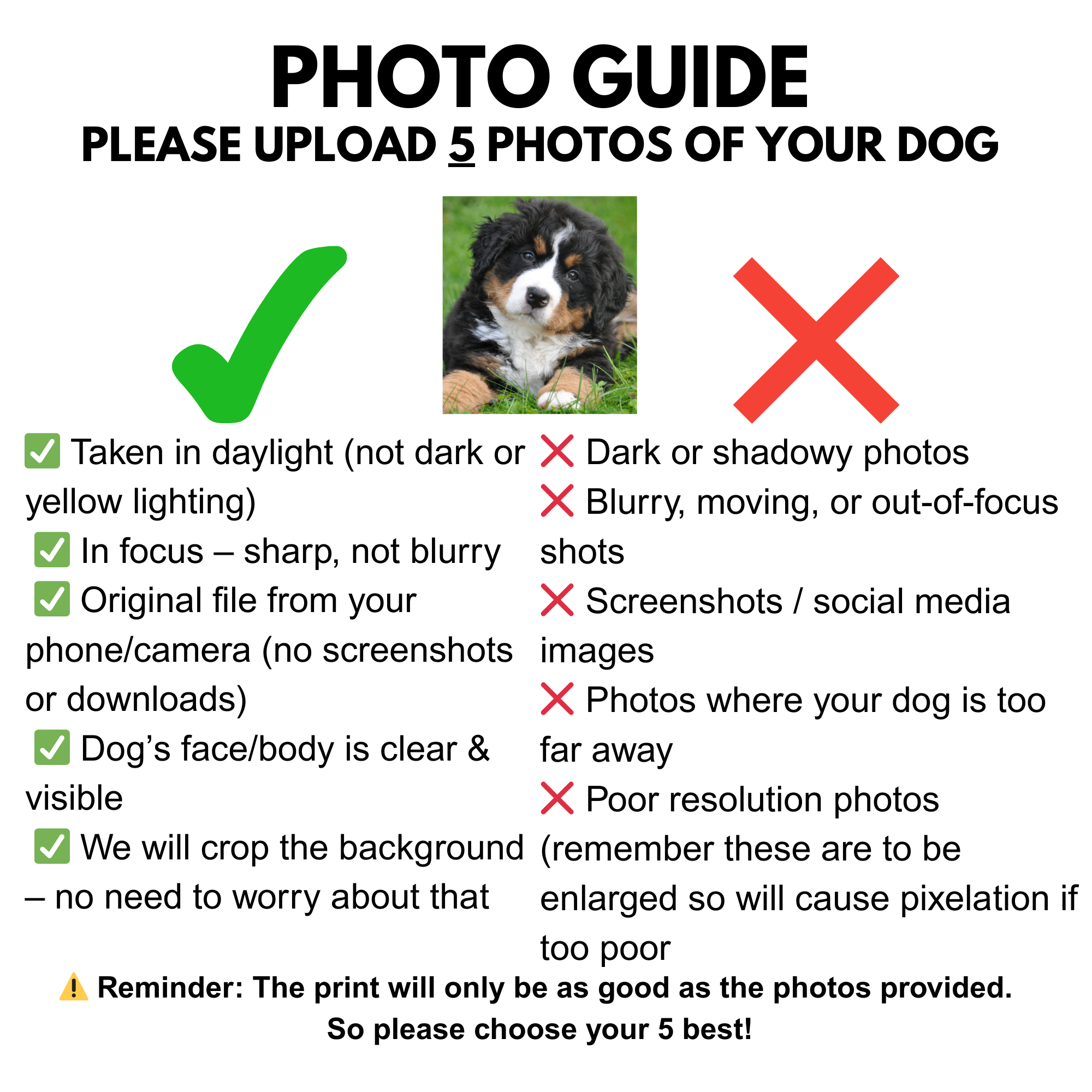 Instructional graphic for uploading dog photos with guidelines on quality and clarity.