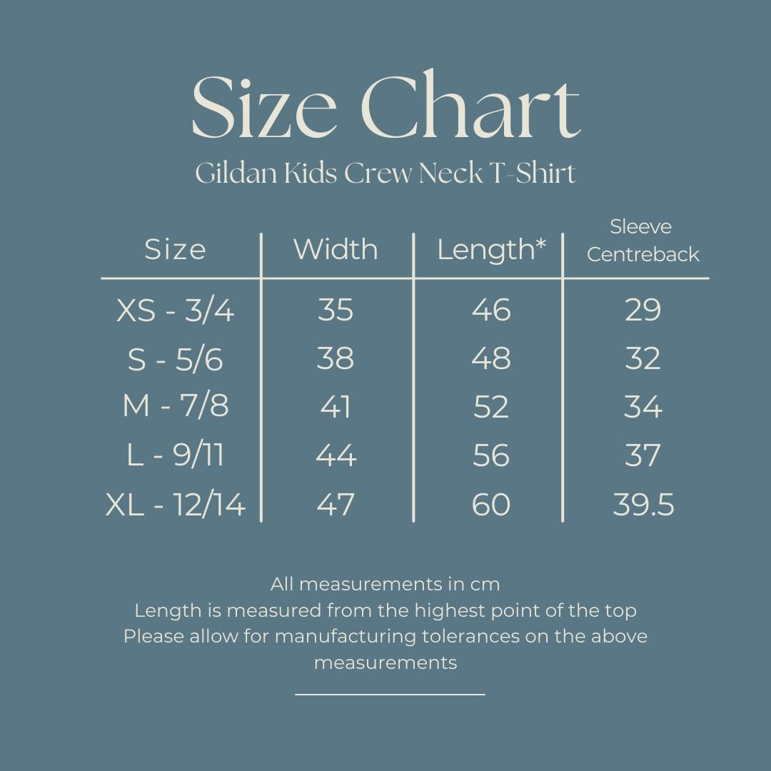 Promoted To Big Sister or Big Sister Again White Kids T-Shirt