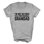Load image into Gallery viewer, I'm Not Retired I'm A Professional Grandad men's t-shirt in sport grey
