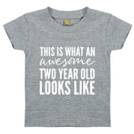 Load image into Gallery viewer, This Is What An Awesome Two Year Old Looks Like Unisex Kids Birthday T-shirt
