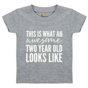 This Is What An Awesome Two Year Old Looks Like Unisex Kids Birthday T-shirt