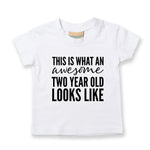 Load image into Gallery viewer, This Is What An Awesome Two Year Old Looks Like Unisex Kids Birthday T-shirt
